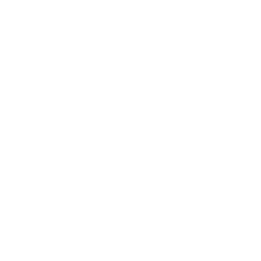 google meet icon